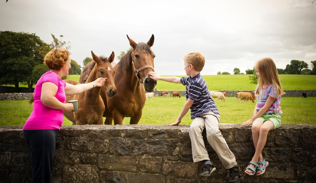 Cahergal Farmhouse B&B Newmarket-on-Fergus Quarto foto
